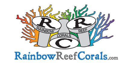 rainbowreefcorals.com